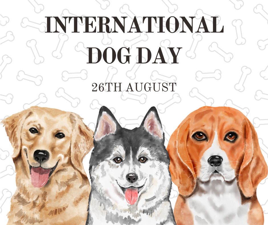 International Dog Day 26th August