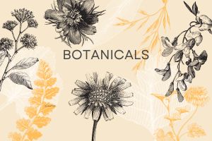 Botanical Printables