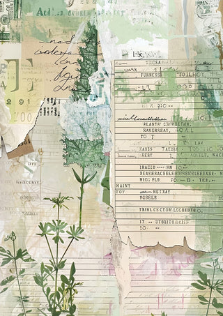 Printable - Botanical Folio Set - Scrap Of Your Life 