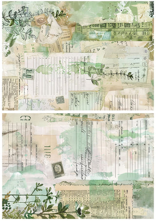 Printable - Botanical Folio Set - Scrap Of Your Life 