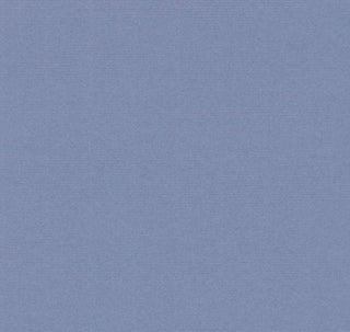 Bazzill Cardstock 12x12  Washboard Denim - Scrap Of Your Life 
