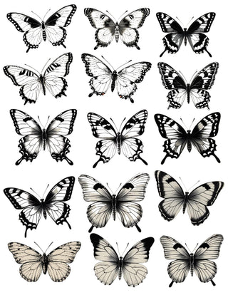 Butterflies Black and White printable