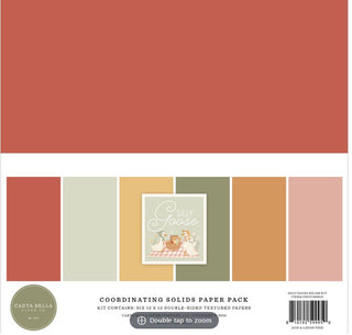 Carta Bella Silly Goose Solids Kit