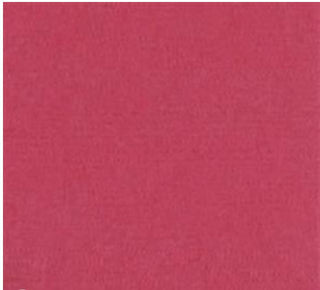 Bazzill Fourz Cardstock 12"X12" - Fire Hearts/Grasscloth - Scrap Of Your Life 