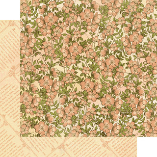 Graphic 45  12x12 paper  Once Upon a Springtime - Primrose Cottage - Scrap Of Your Life 
