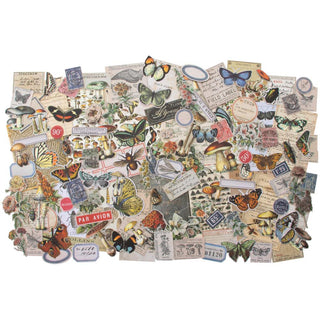 Tim Holtz Idea-Ology Ephemera Pack Field Notes 134 Pkg - Scrap Of Your Life 