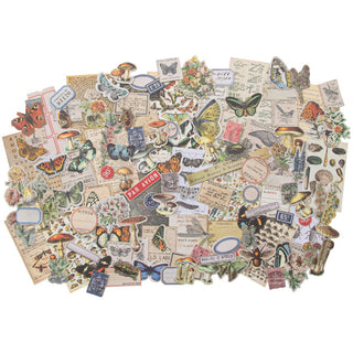 Tim Holtz Ideaology Idea-Ology Ephemera Snippets 134/Pkg - Scrap Of Your Life 