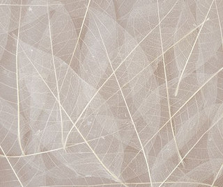 Kaisercraft Secret Bird Society Skeleton Leaves - Scrap Of Your Life 