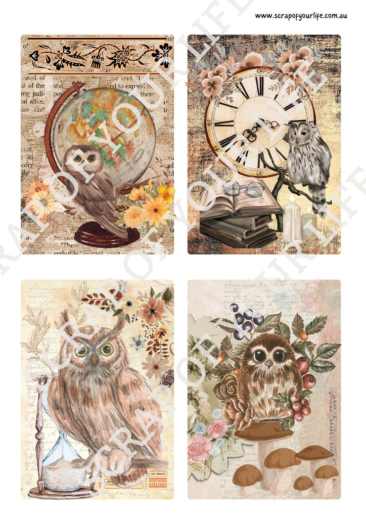 Printable - Vintage Owls - Scrap Of Your Life 