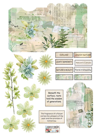 Printable - Botanical Folio Set - Scrap Of Your Life 