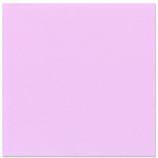 Bazzill Fourz Cardstock 12"X12" - Purple Palisides/Grasscloth - Scrap Of Your Life 