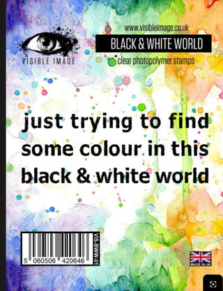Visible Image Acrylic Stamp Black & White World
