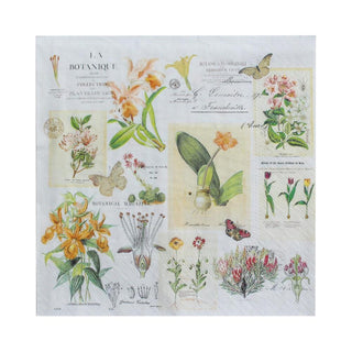 Little Birdie Decoupage Serviette / Napkin Botanical - Scrap Of Your Life 