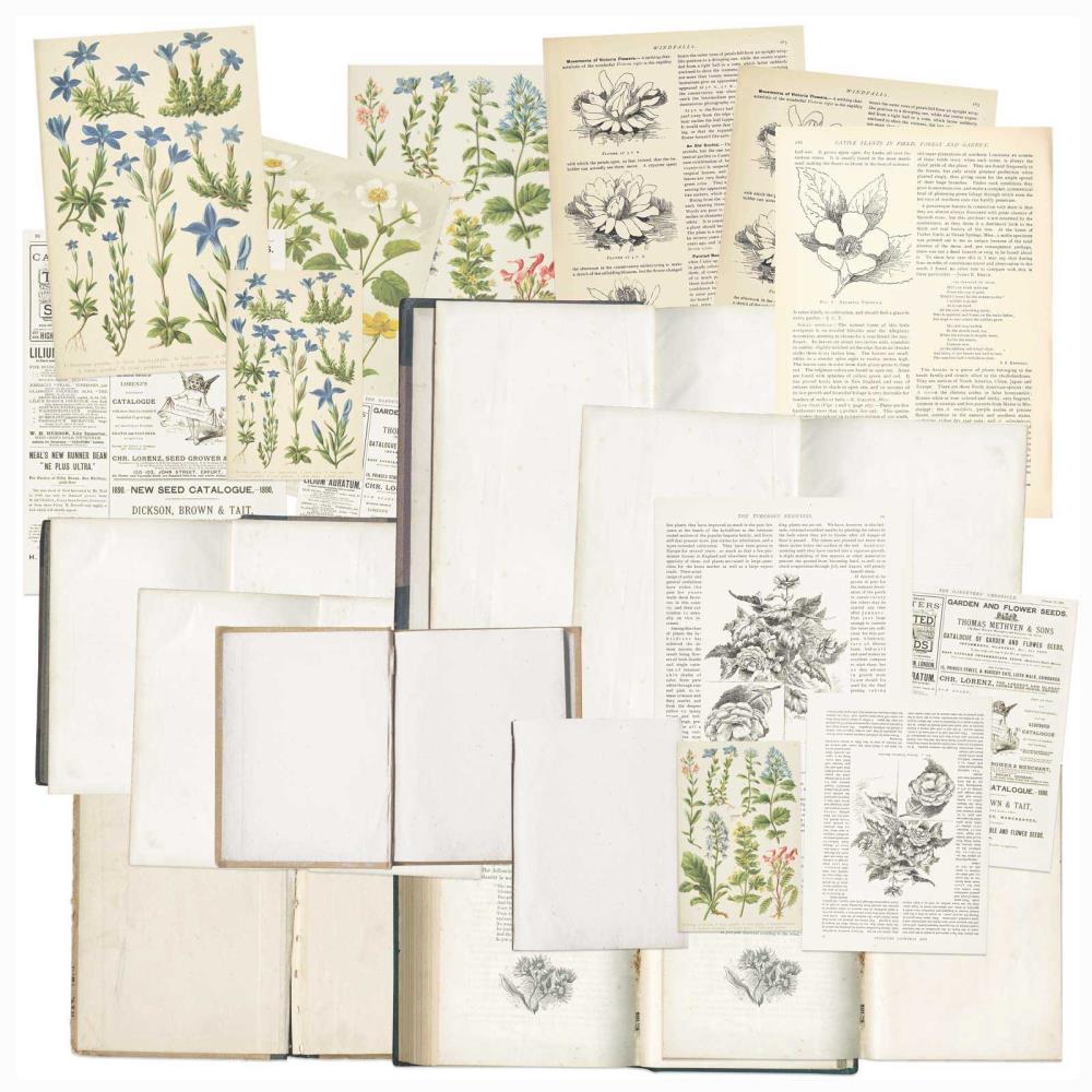 49 and Market -  Curators Botanical Bookplates - Scrap Of Your Life 