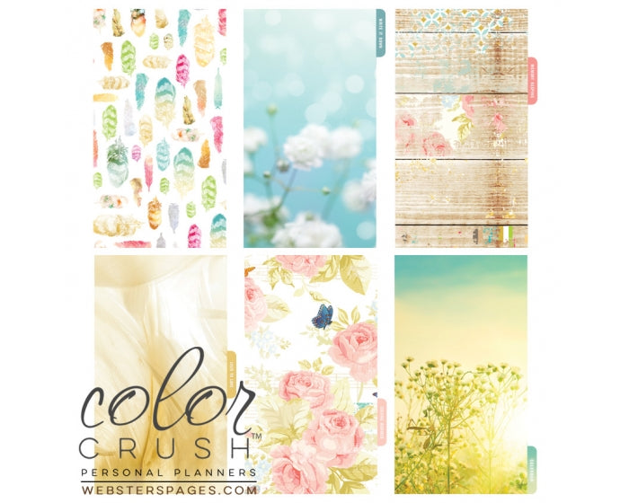 Websters Pages - Color Crush Collection - Dividers - Be Happy Be Bright - Scrap Of Your Life 