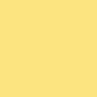 Kaisercraft - Cardstock - 12 x 12 Lemonade - Scrap Of Your Life 
