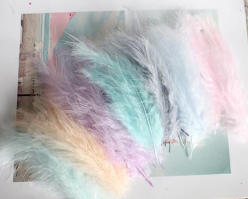 Goose Feather Natural - Pastel 10-15cm - Scrap Of Your Life 