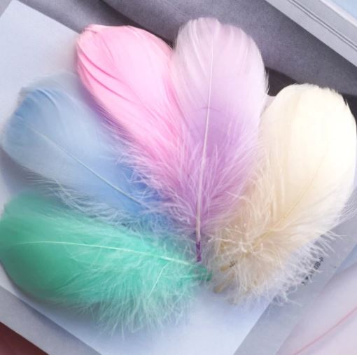 Goose Feather Natural - Pastel - Scrap Of Your Life 