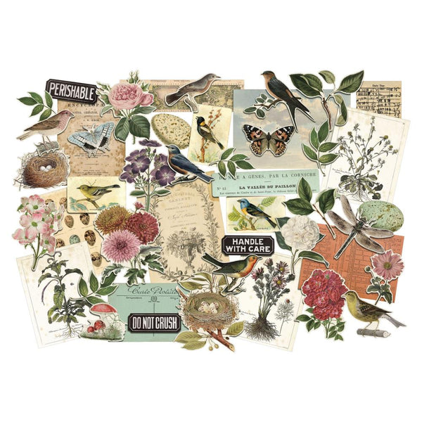 Tim Holtz Idea-Ology Layers Die-Cuts 45 Pkg - Organic - Scrap Of Your Life 