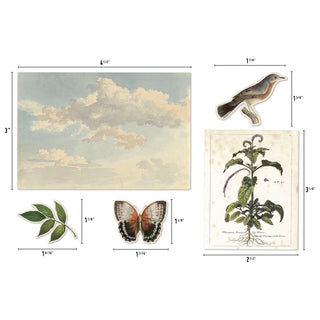 Tim Holtz Idea-Ology Layers Die-Cuts 45 Pkg - Organic - Scrap Of Your Life 
