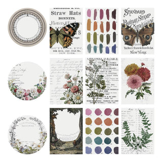 Tim Holtz Idea-Ology Transparent Layers 12/Pkg - Scrap Of Your Life 