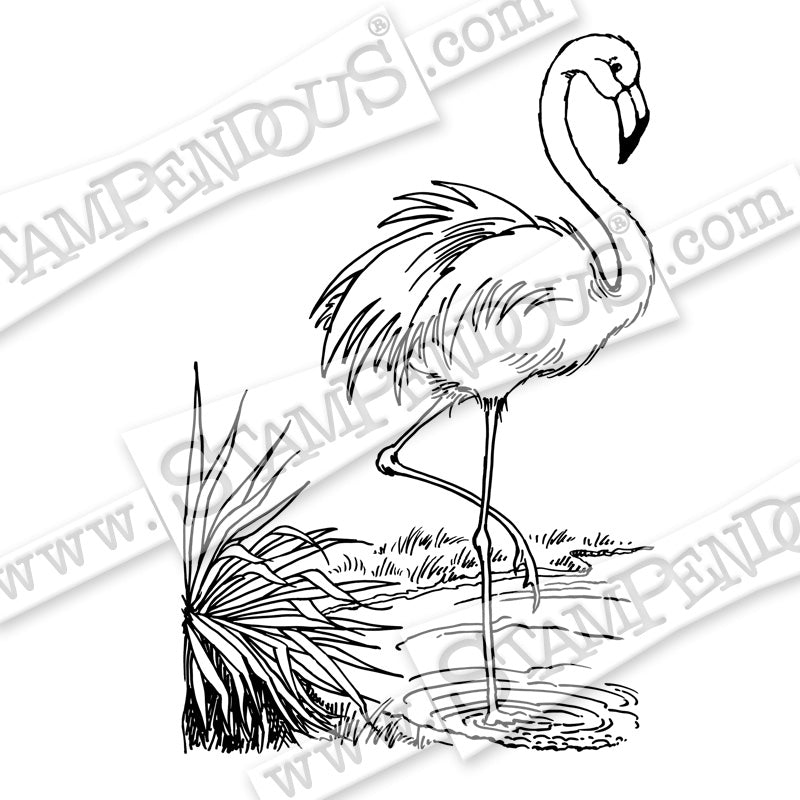 Stampendous  - Flamingo Cling Stamp - Scrap Of Your Life 