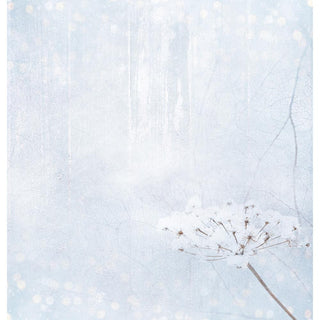 Studio Light - Double-Sided Cardstock 12"X12" NR-93 - Scrap Of Your Life 