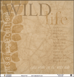 Tumblebeasts Zoo Collection - Wildlife 12 x12 Single Side Paper - Scrap Of Your Life 