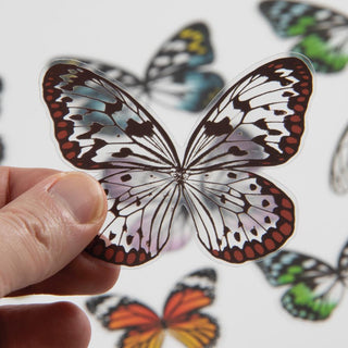 Tim Holtz - Idealology - Transparent Wings - Scrap Of Your Life 