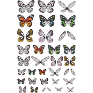 Tim Holtz - Idealology - Transparent Wings - Scrap Of Your Life 