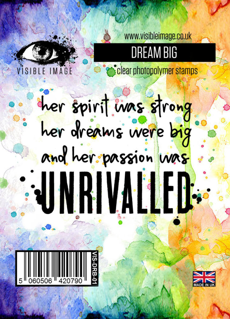 Visible Image Acrylic Stamp Dream Big - Scrap Of Your Life 