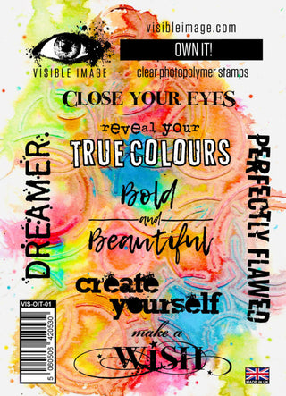 Visible Image Acrylic Stamp Own It - Scrap Of Your Life 