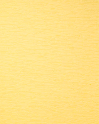 Worldwin Ruche Crepe  Cardstock - Scrap Of Your Life 